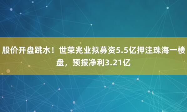 股价开盘跳水！世荣兆业拟募资5.5亿押注珠海一楼盘，预报净利3.21亿